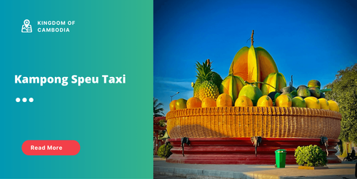 small_Kampong Speu Taxi.png