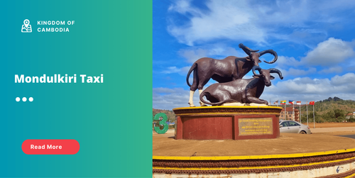 small_Mondulkiri Taxi.png
