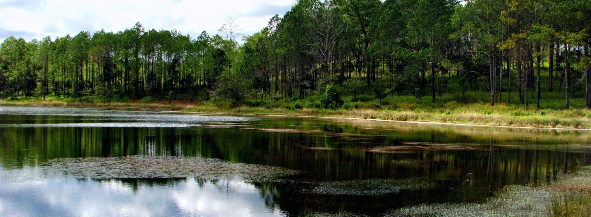 kirirom-national-park.jpg