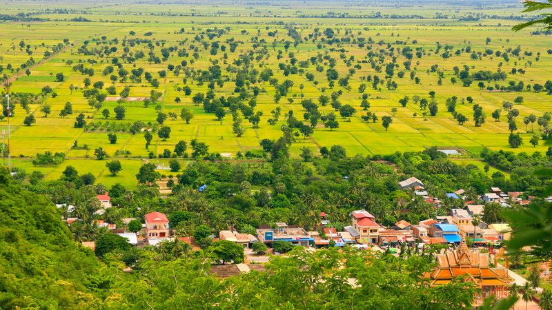 Battambang Rice Field.jpg