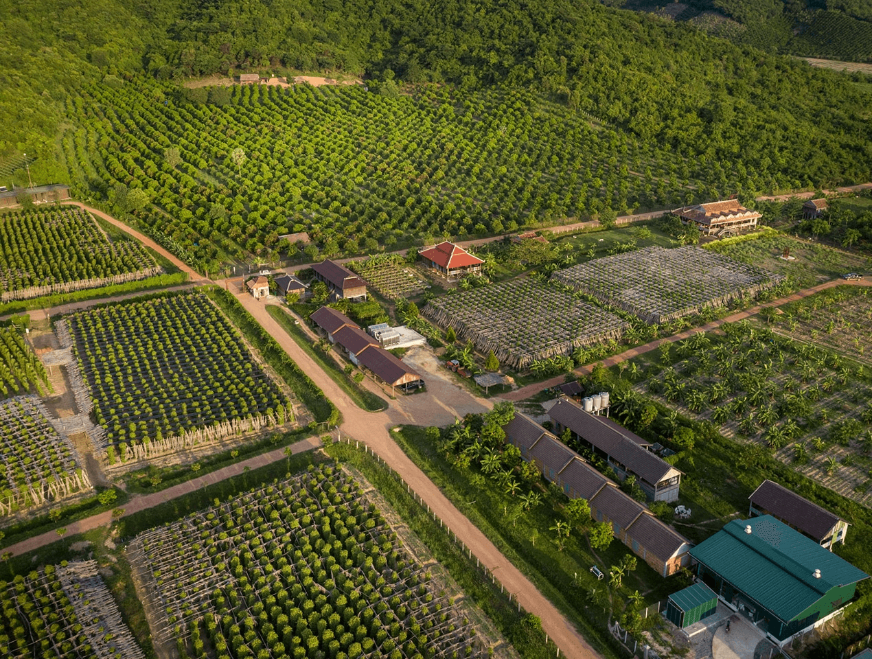 La Plantation.png