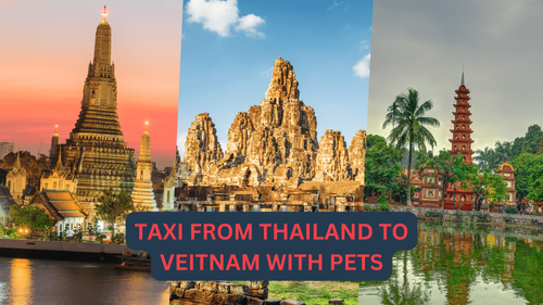 small_TAXI FROM THAILAND TO VEITNAM WITH PETS.png