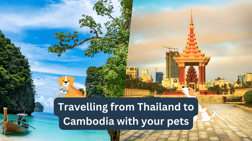 small_Travelling from Thailand to Cambodia with your pets.png
